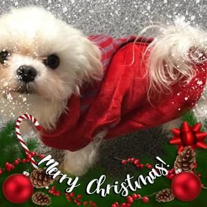 Meet your Posher, Jan